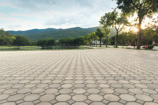 Best Professional Driveway Pavers  in Sunnyside, GA